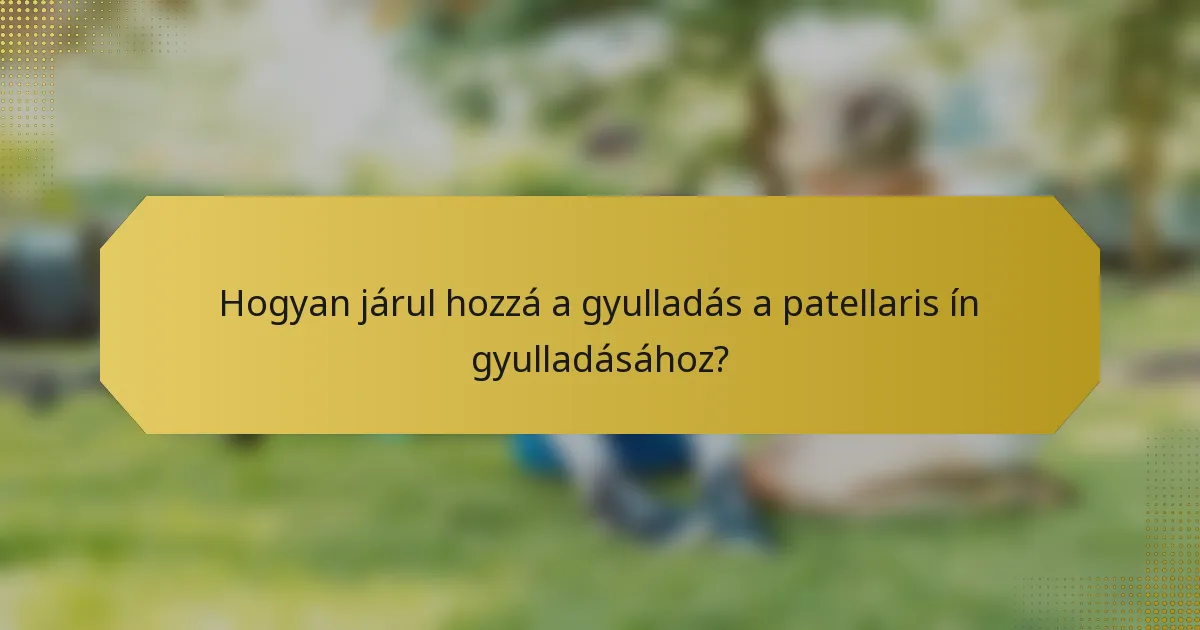 Hogyan járul hozzá a gyulladás a patellaris ín gyulladásához?
